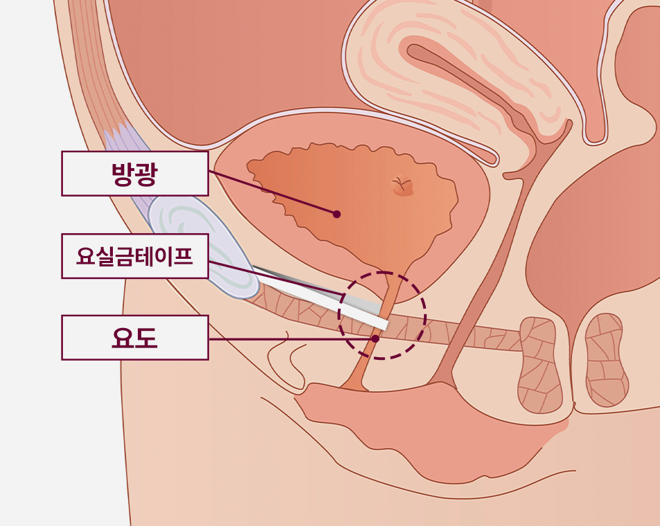 원장님상담사진